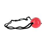 Apprentice Ball Gag