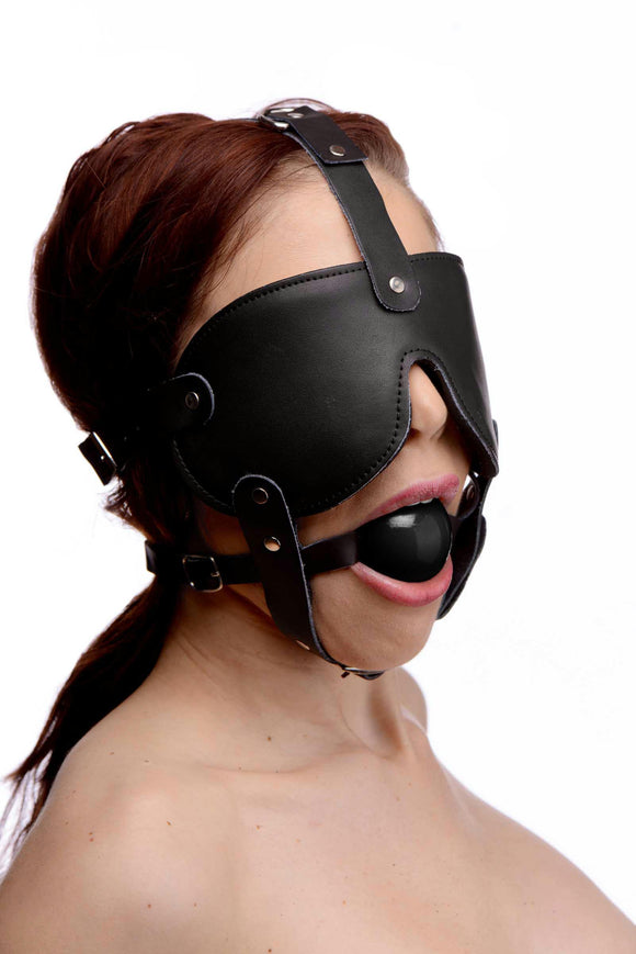 Gag and Blindfold Head Harness